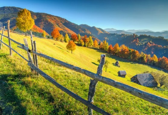 Curs Fermierit pentru Începători