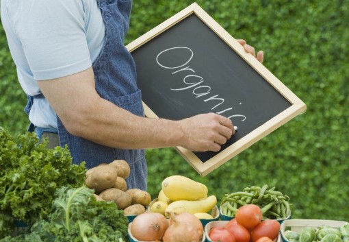 Curs Agricultură Ecologică Avansată